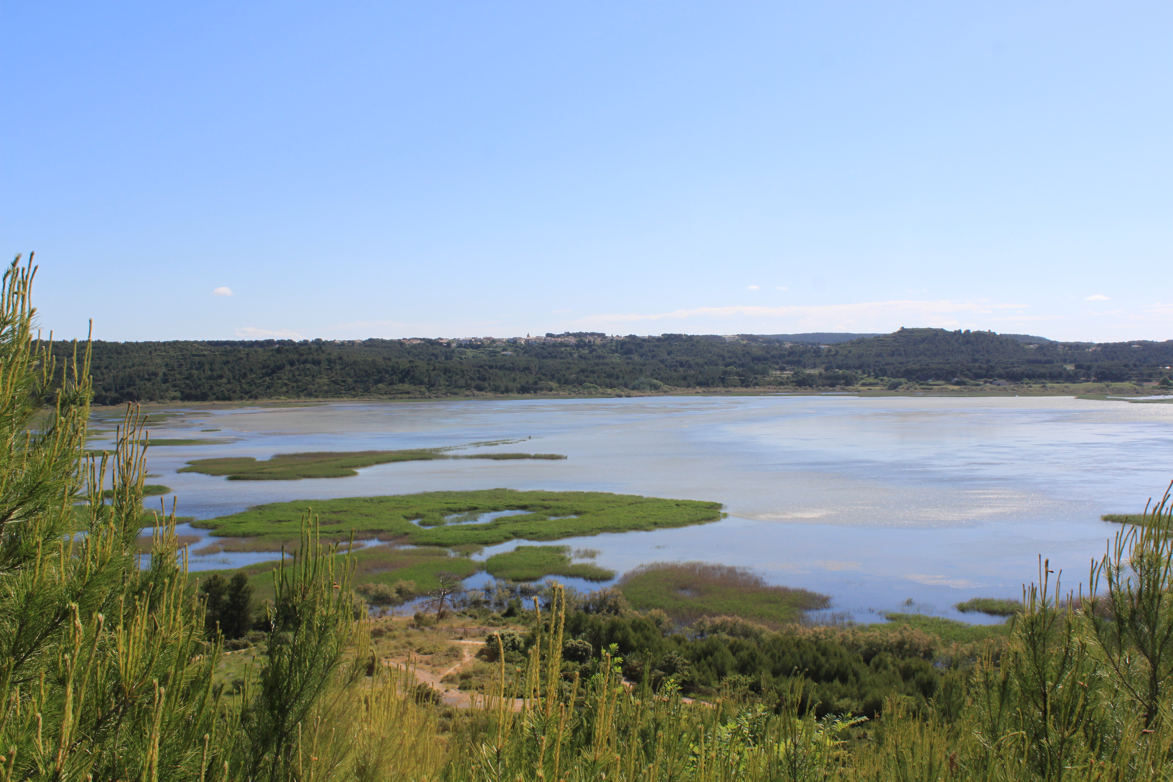 Etang du Pourra