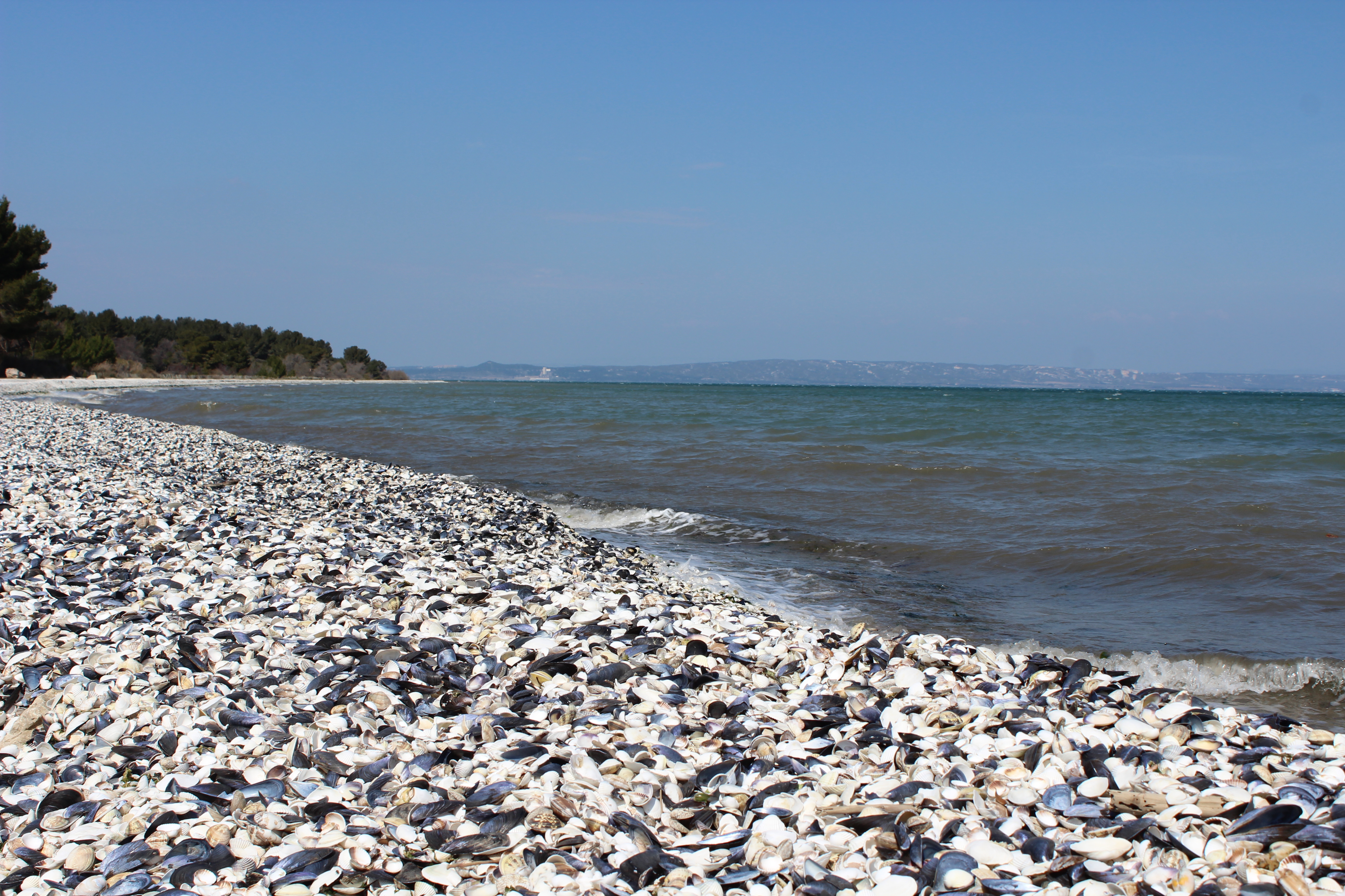 Plage de Figuerolles (26)